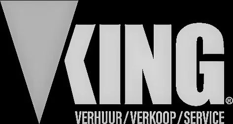 VKing